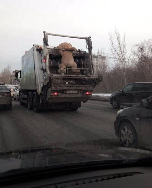 Daily Picdump [WEEKEND EDITION]