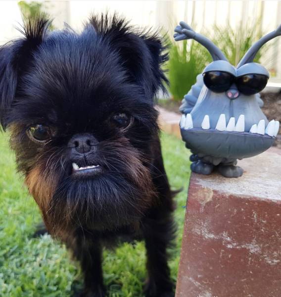 Daily Picdump [WEEKEND EDITION]