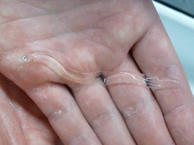 Daily Picdump [WEEKEND EDITION]