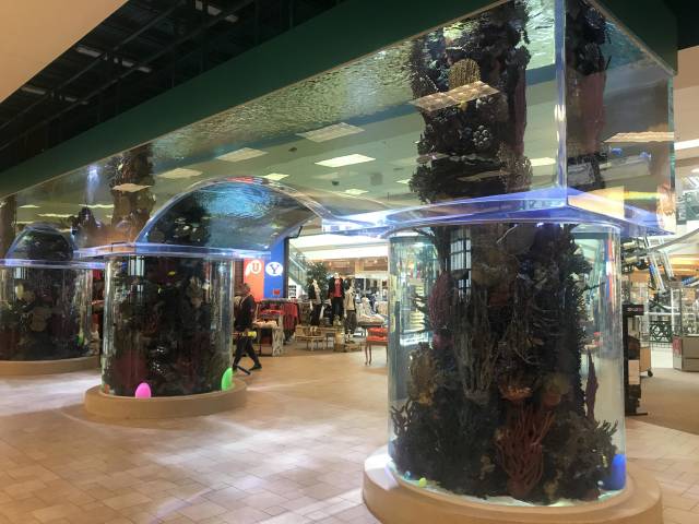 daily picdump weekend edition 52 pics 26.html - 52 HD Photos | Premium Gallery 2018