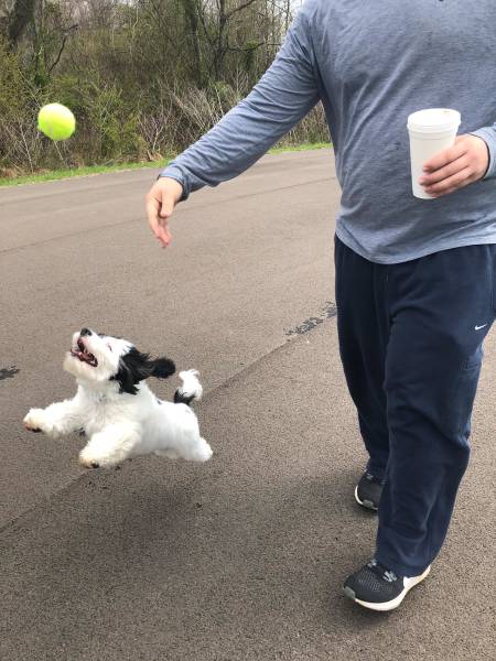 daily picdump weekend edition 52 pics 26.html - 52 HD Photos | Premium Gallery 2018