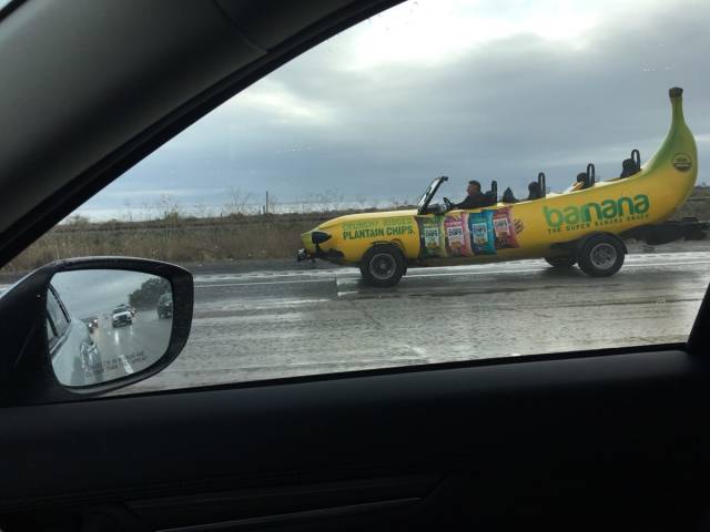 daily picdump weekend edition 52 pics 26.html - 52 HD Photos | Premium Gallery 2018