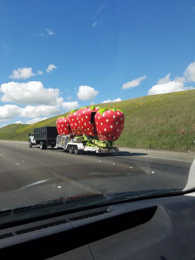 daily picdump weekend edition 52 pics 26.html - 52 HD Photos | Premium Gallery 2018