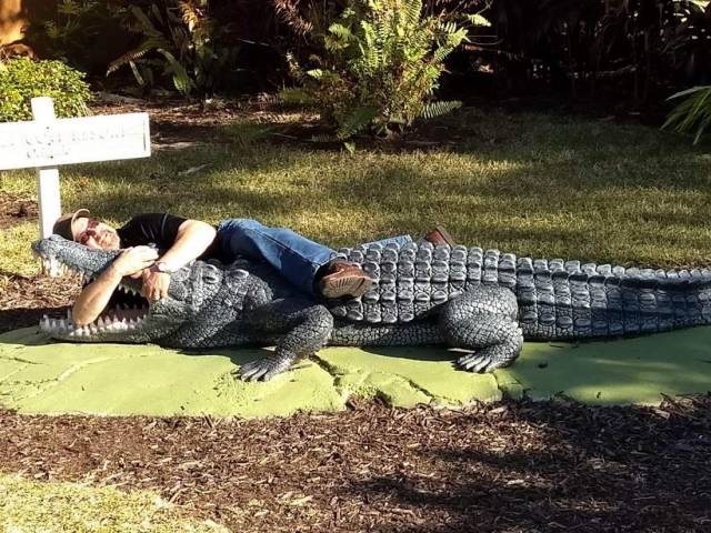 daily picdump 101 pics 13.html - 101 HD Photos | Premium Gallery 2018