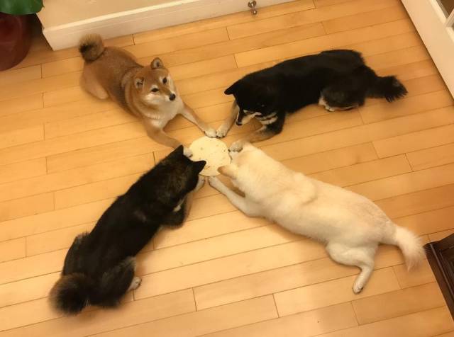 daily picdump 101 pics 13.html - 101 HD Photos | Premium Gallery 2018