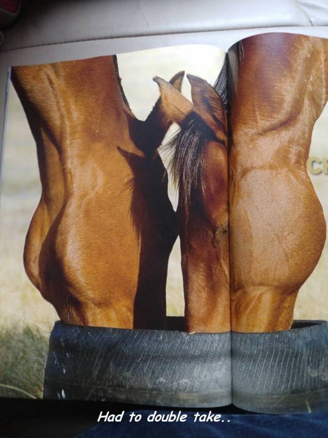 daily picdump 101 pics 13.html - 101 HD Photos | Premium Gallery 2018