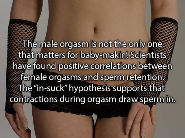 These Sex Myths Are Just NOT TRUE!