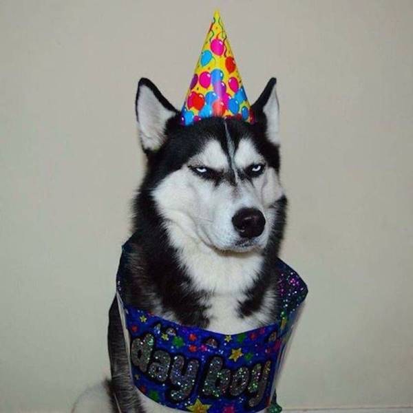 Daily Picdump