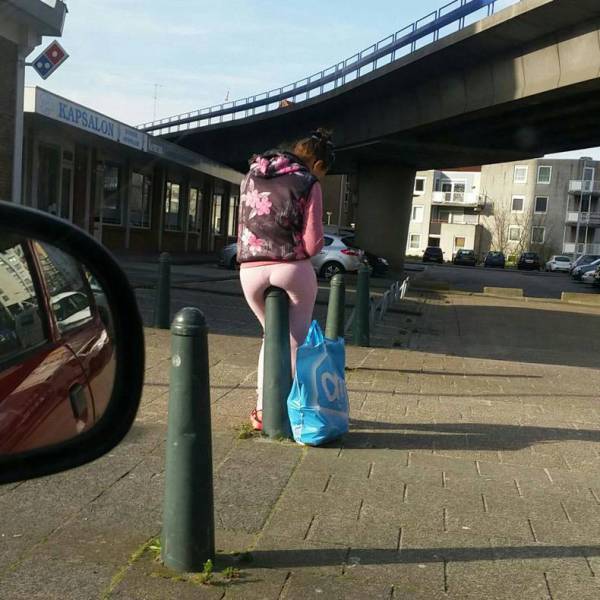 Morning Picdump
