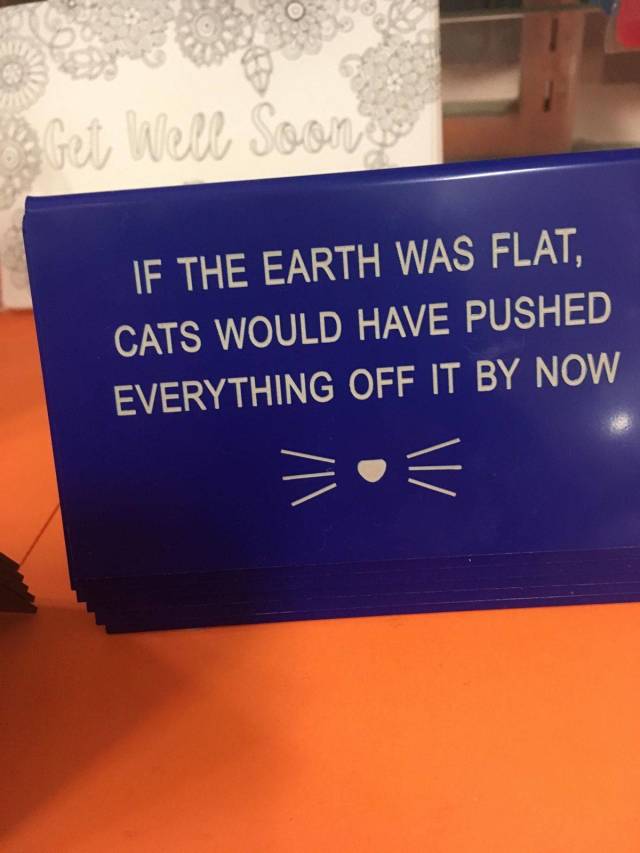 Daily Picdump [WEEKEND EDITION]