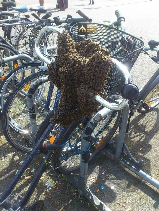 Daily Picdump [WEEKEND EDITION]