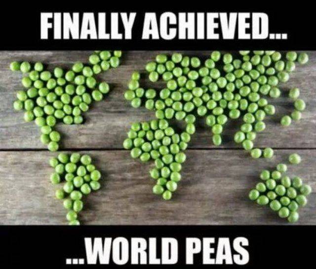 This Post Is Really Punny!