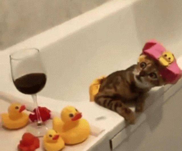 Daily Picdump