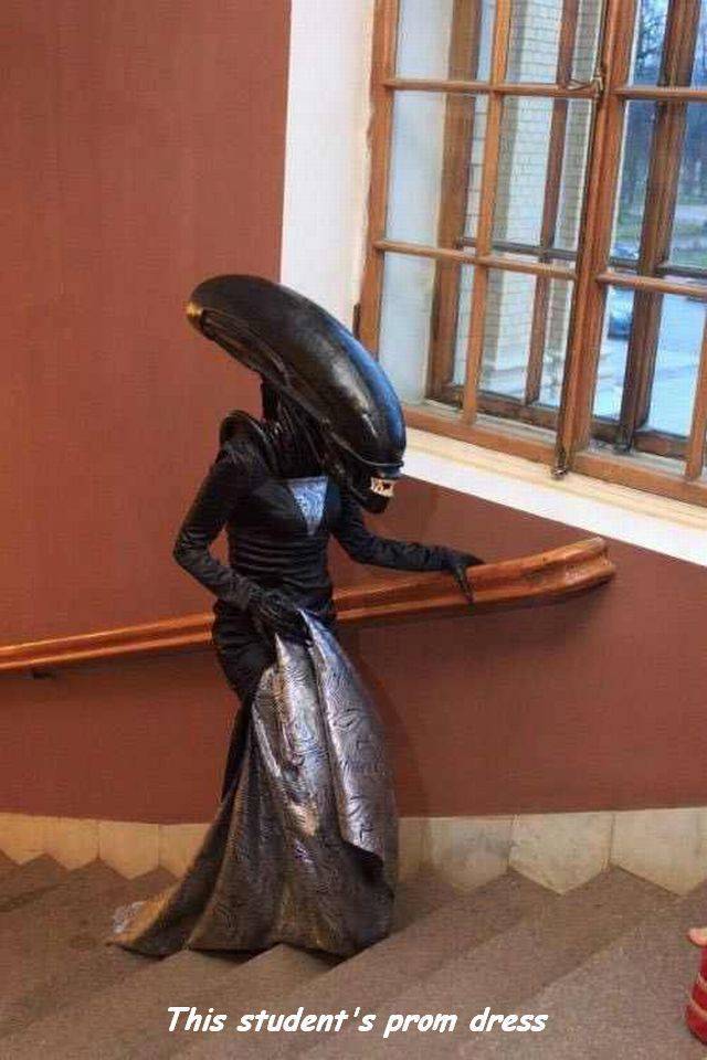Daily Picdump