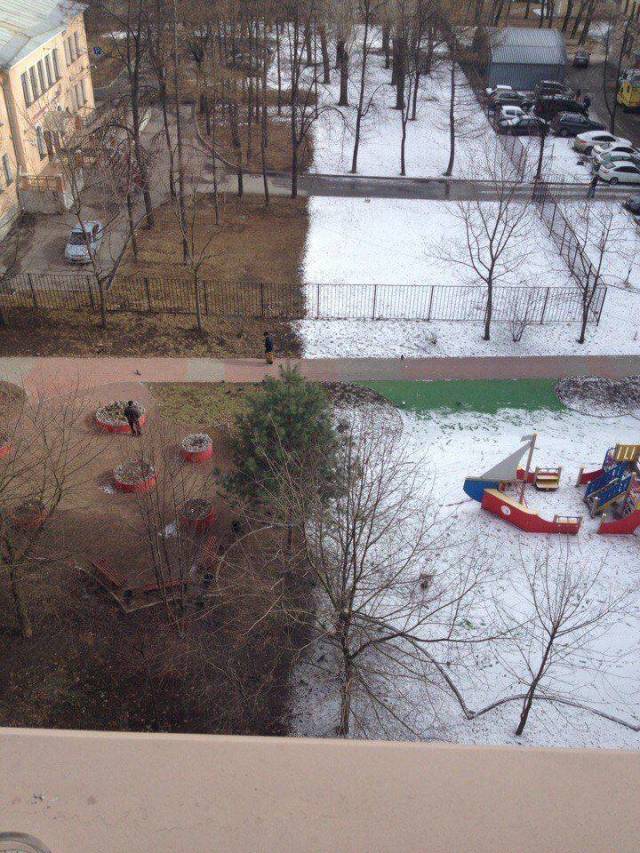 Daily Picdump