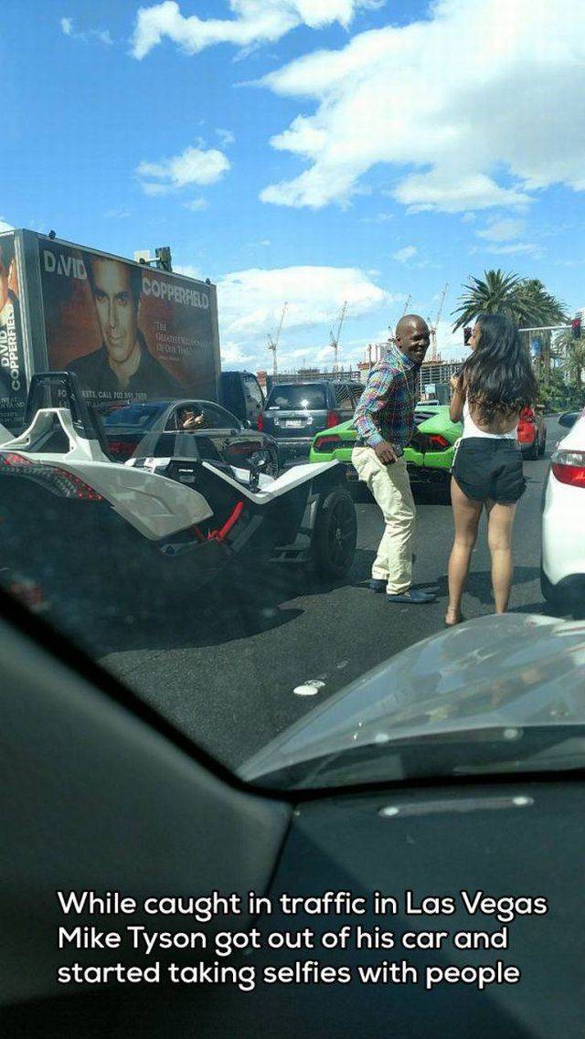 Daily Picdump