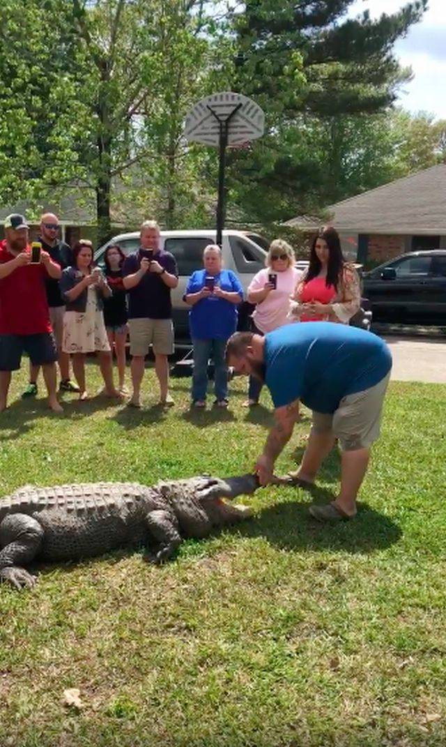 daily picdump 99 pics 5.html - 99 HD Photos | Premium Gallery 2018