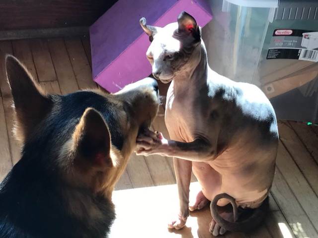 daily picdump 98 pics 3.html - 98 HD Photos | Premium Gallery 2018