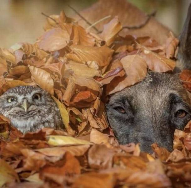 daily picdump 98 pics 3.html - 98 HD Photos | Premium Gallery 2018