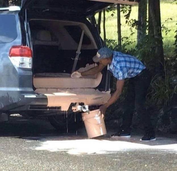 daily picdump 98 pics 3.html - 98 HD Photos | Premium Gallery 2018