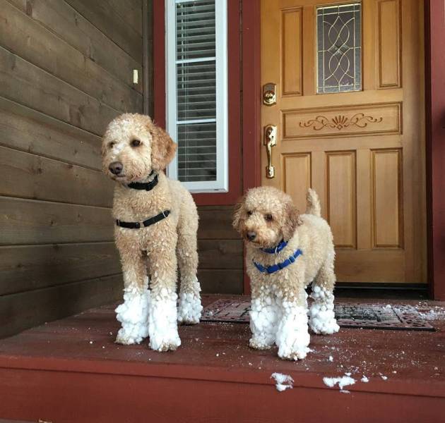 daily picdump 98 pics 3.html - 98 HD Photos | Premium Gallery 2018
