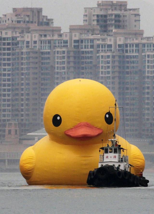 daily picdump 98 pics 3.html - 98 HD Photos | Premium Gallery 2018