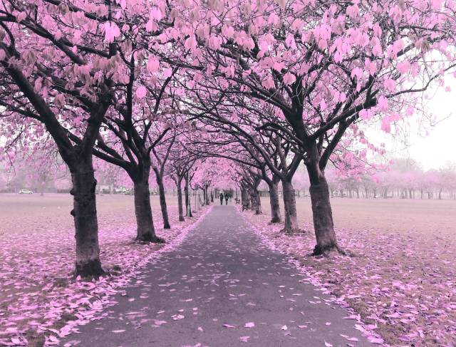 morning picdump 50 pics 19.html - 50 HD Photos | Premium Gallery 2018