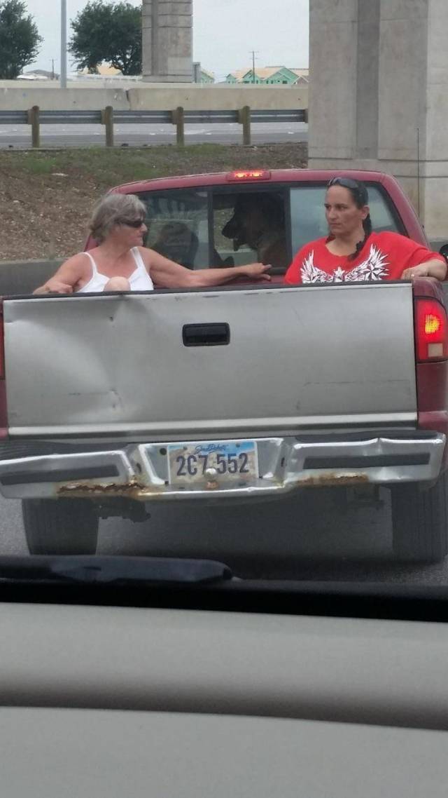 morning picdump 50 pics 19.html - 50 HD Photos | Premium Gallery 2018