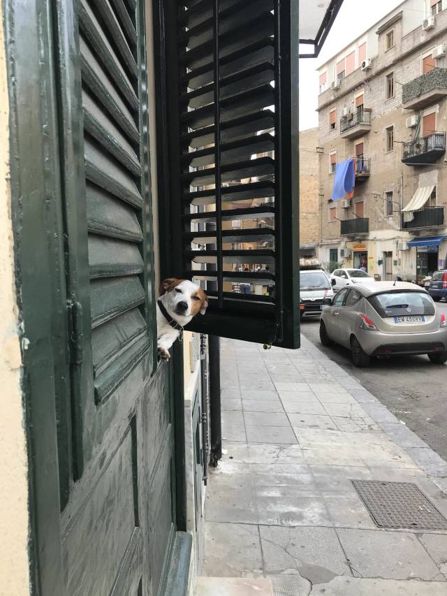 morning picdump 50 pics 19.html - 50 HD Photos | Premium Gallery 2018