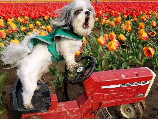 daily picdump weekend edition 50 pics 21.html - 50 HD Photos | Premium Gallery 2018