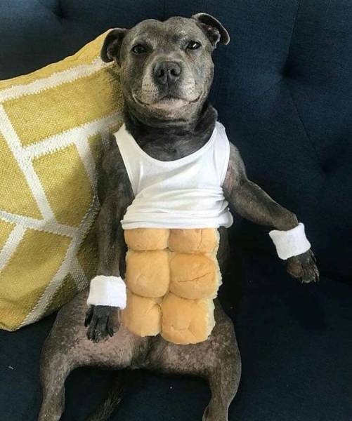 daily picdump weekend edition 50 pics 21.html - 50 HD Photos | Premium Gallery 2018