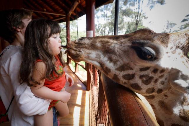 daily picdump 98 pics 39.html - 98 HD Photos | Premium Gallery 2018