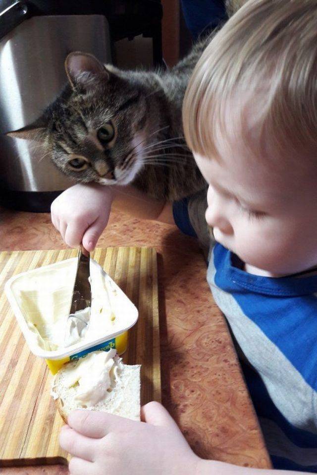 daily picdump 98 pics 39.html - 98 HD Photos | Premium Gallery 2018