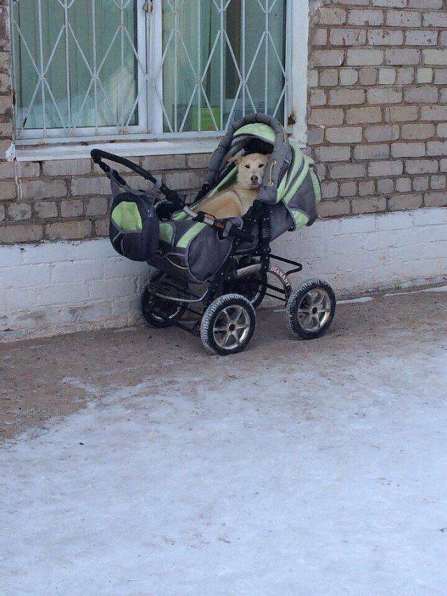 daily picdump 98 pics 39.html - 98 HD Photos | Premium Gallery 2018