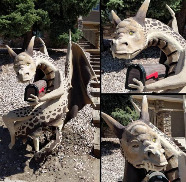 Daily Picdump