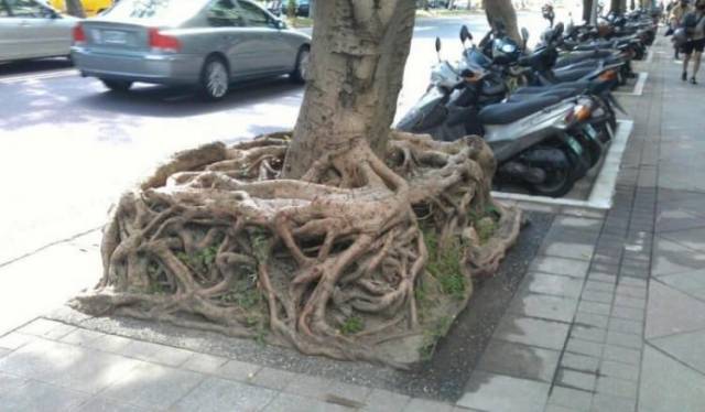 daily picdump 91 pics 44.html - 91 HD Photos | Premium Gallery 2018