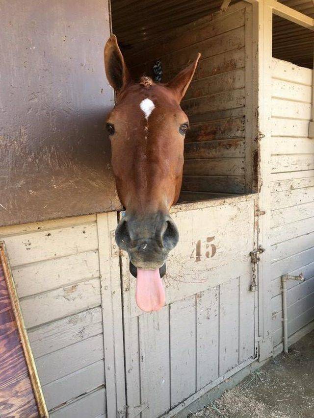 daily picdump 91 pics 44.html - 91 HD Photos | Premium Gallery 2018