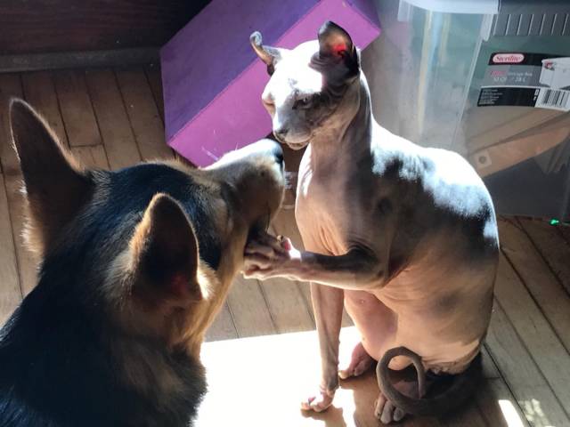 daily picdump 103 pics 30.html - 103 HD Photos | Premium Gallery 2018