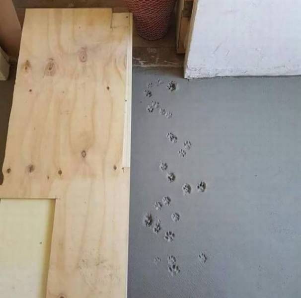 daily picdump 103 pics 30.html - 103 HD Photos | Premium Gallery 2018