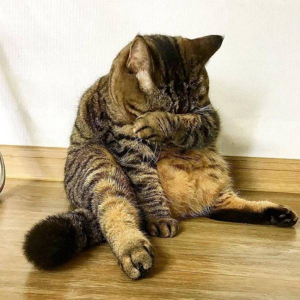 daily picdump 103 pics 30.html - 103 HD Photos | Premium Gallery 2018