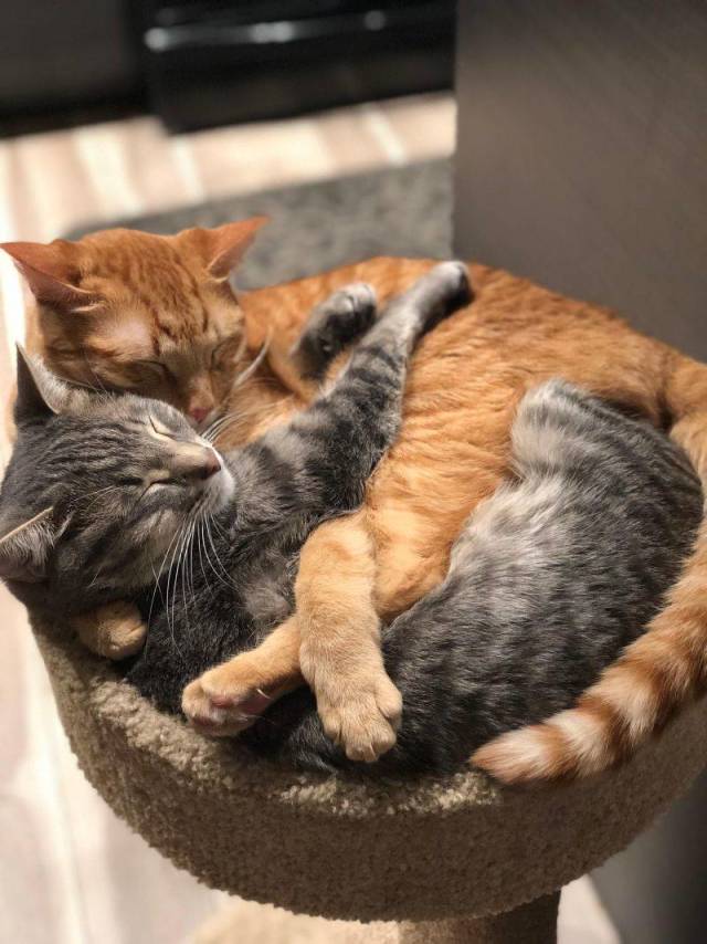 daily picdump 103 pics 30.html - 103 HD Photos | Premium Gallery 2018