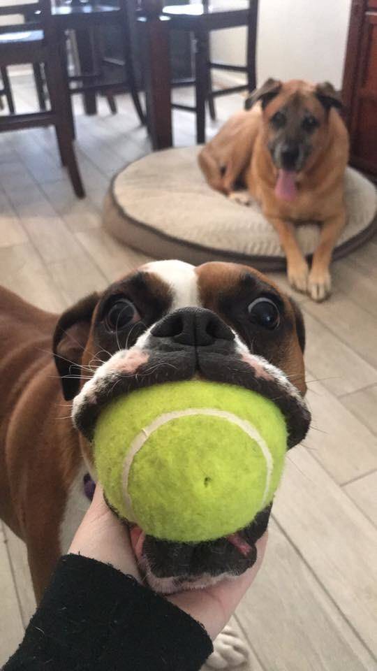 morning picdump 50 pics 12.html - 50 HD Photos | Premium Gallery 2018