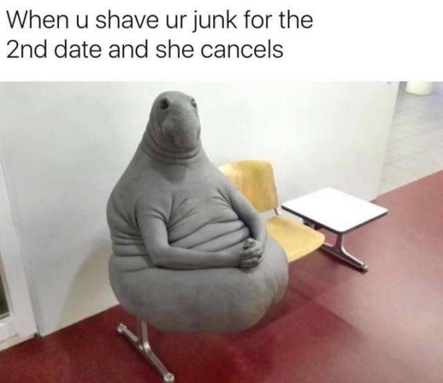 A New Portion Of Sex Jokes Is Here