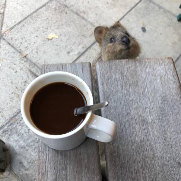 daily picdump 101 pics 4.html - 101 HD Photos | Premium Gallery 2018