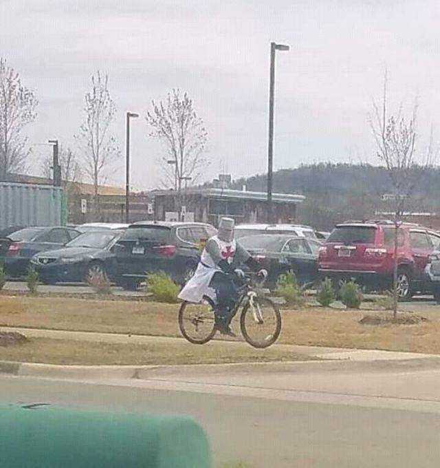 Daily Picdump