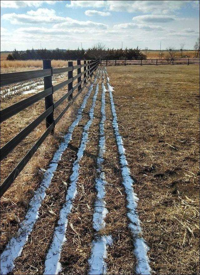 daily picdump 101 pics 4.html - 101 HD Photos | Premium Gallery 2018