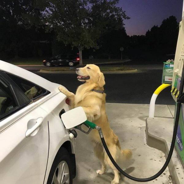 daily picdump 101 pics 12.html - 101 HD Photos | Premium Gallery 2018