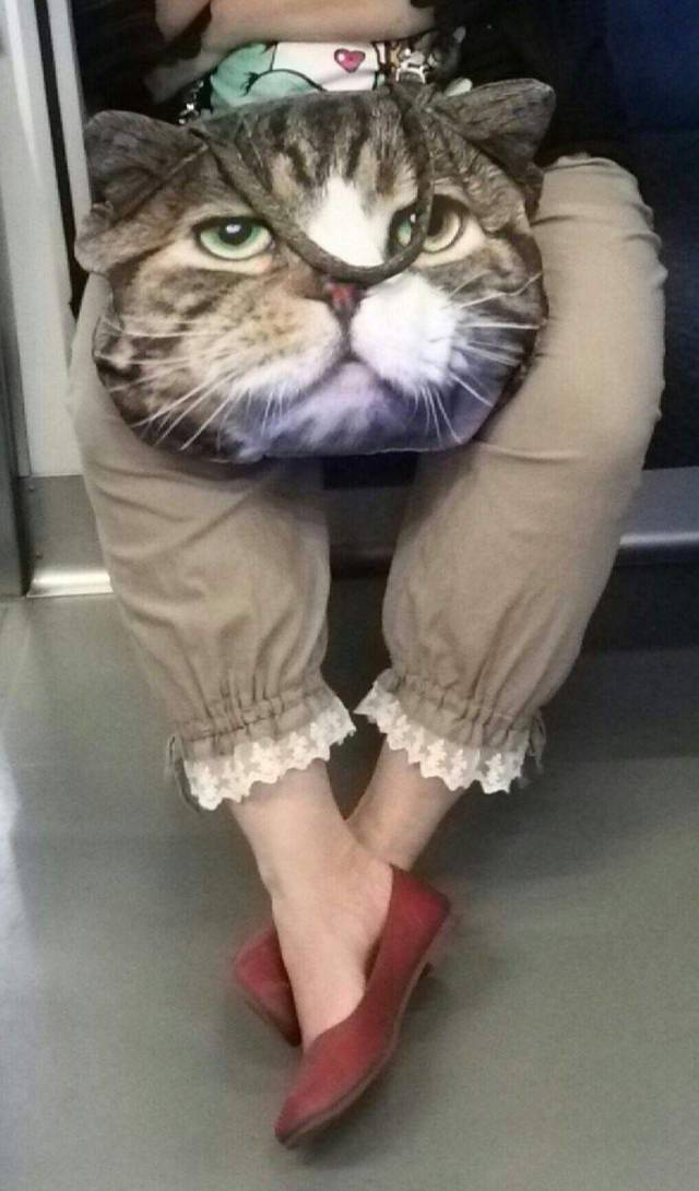 daily picdump 101 pics 12.html - 101 HD Photos | Premium Gallery 2018