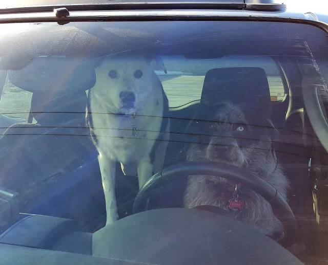 daily picdump 96 pics 45.html - 96 HD Photos | Premium Gallery 2018