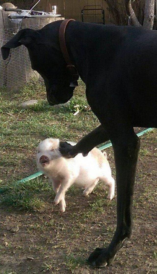 daily picdump 96 pics 45.html - 96 HD Photos | Premium Gallery 2018
